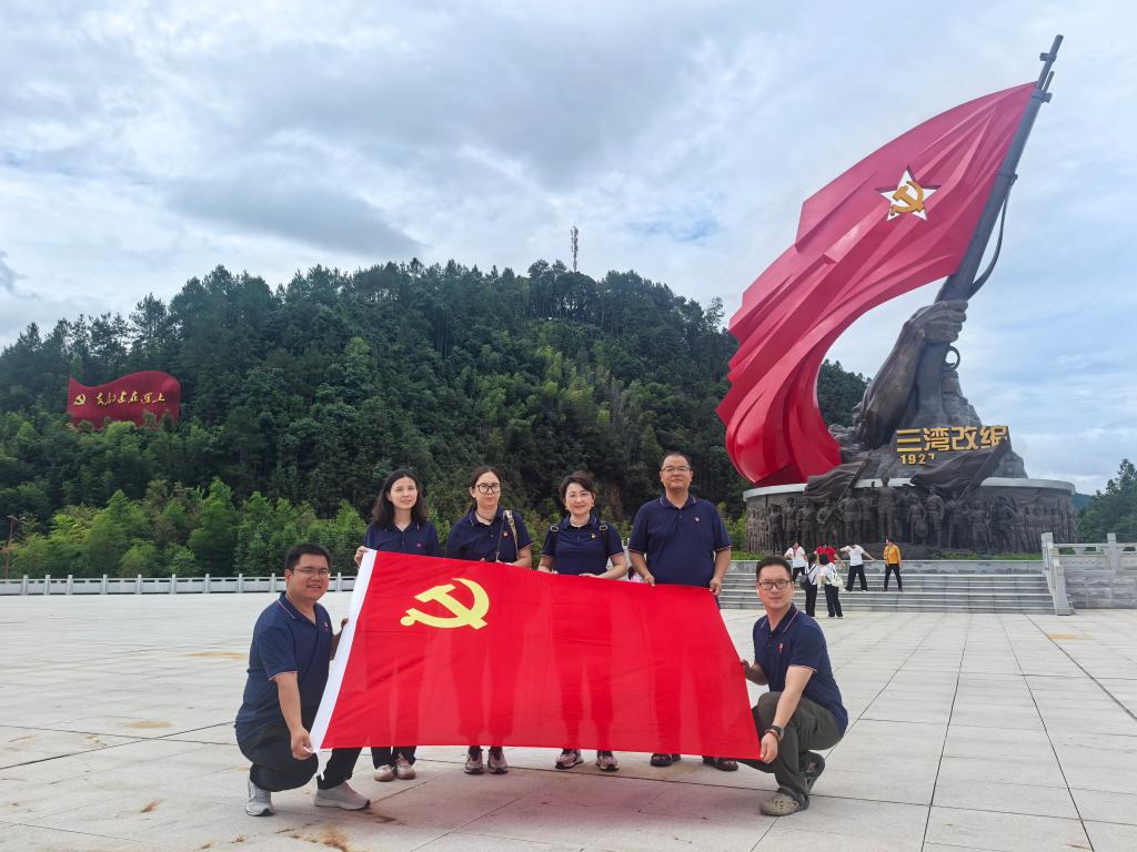 为加强基层党组织建设